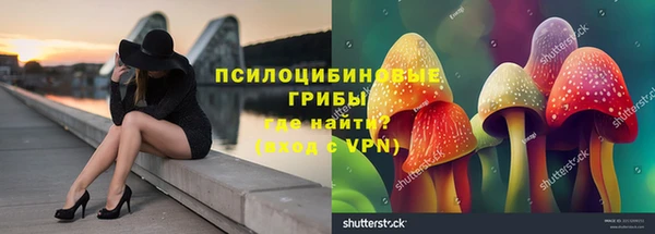 мяу мяу мука Балабаново
