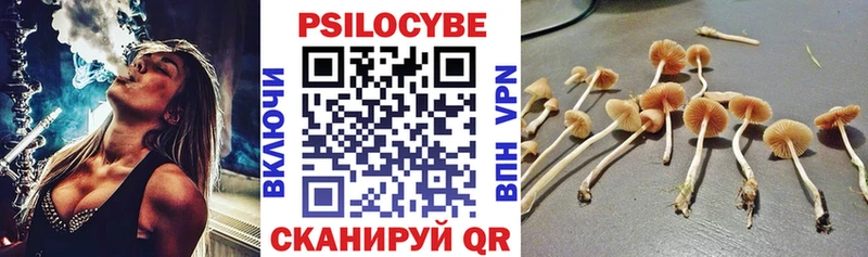 Псилоцибиновые грибы Psilocybine cubensis  купить закладку  Светлый 